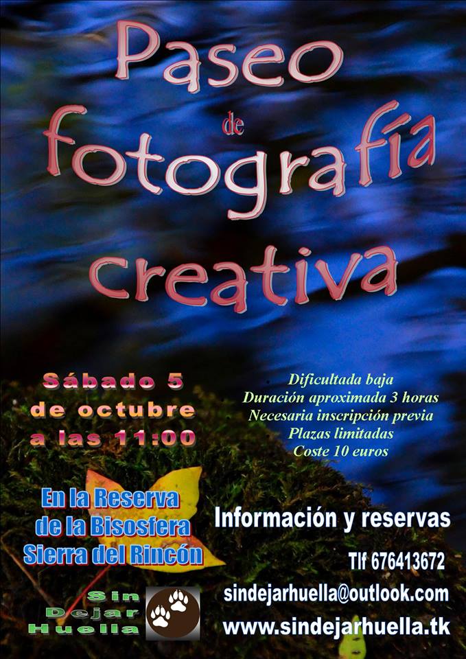 Actividades: Paseo de fotografía creativa