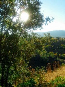 Otoño en la Sierra Norte de Madrid