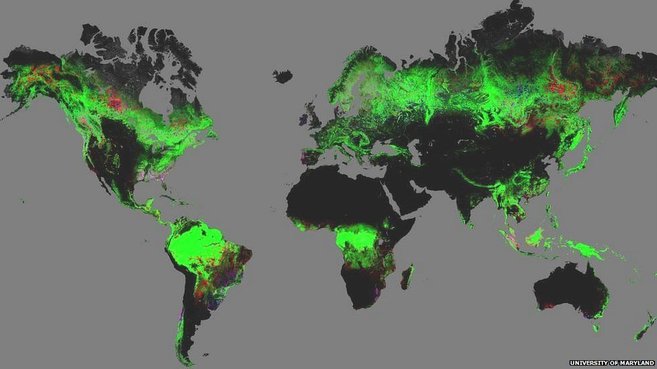 El primer mapa detallado del cambio forestal mundial
