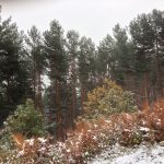 Invierno en la #SierraNorteDeMadrid