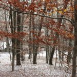 Invierno en la #SierraNorteDeMadrid