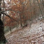 Invierno en la #SierraNorteDeMadrid
