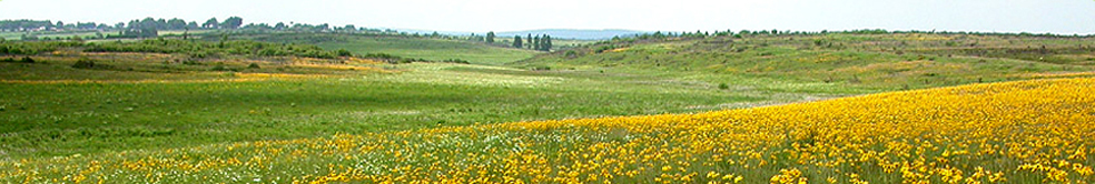 Premios Europeos Natura 2000 RedNatura