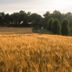 COETUR, el primer Congreso Europeo de Turismo Rural
