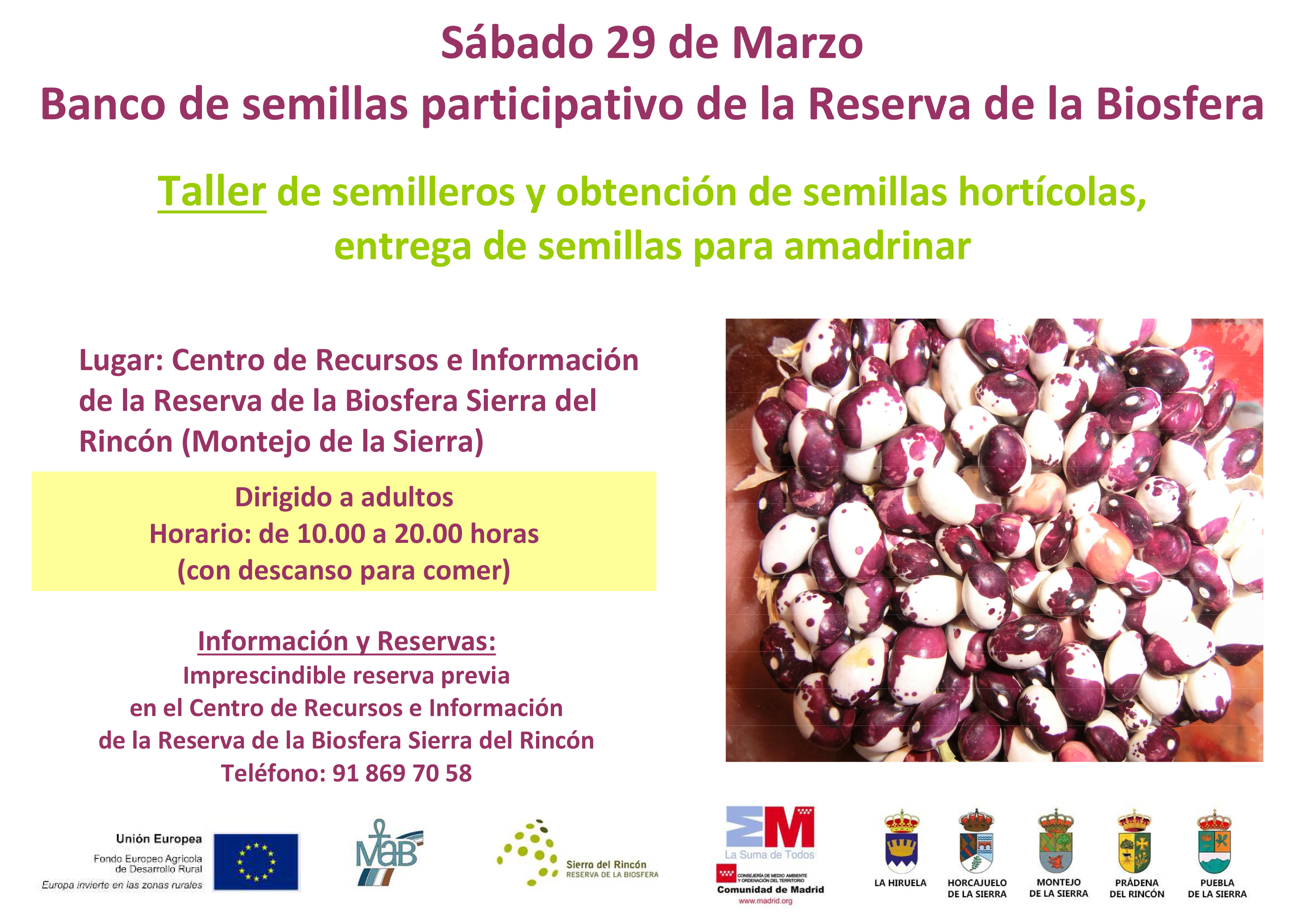 Taller de Semillas