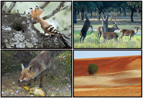 Exposición "FOTONATURA 2013, Comprometidos con la Naturaleza”