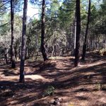 Nueva ruta histórica de la Guerra Civil por la #SierraNorteDeMadrid