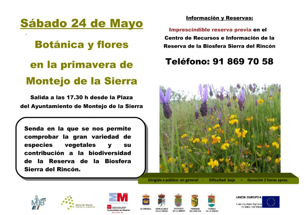 Senda flores Montejo 24 mayo