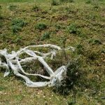 Mantengamos limpios los paisajes naturales