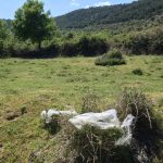 Mantengamos limpios los paisajes naturales