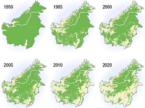 Deforestación en la Isla Borneo