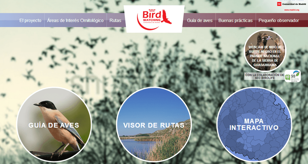 Pagina web birdwatching