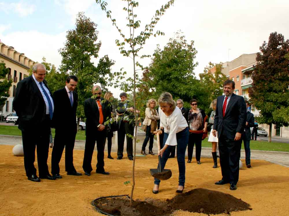 ALCALDESA PLANTACION LPROYE