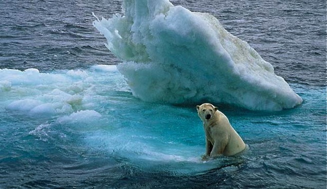 Evitar cambio climatico