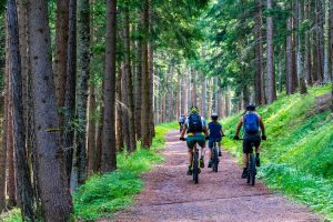 Las opciones de cicloturismo que brinda Sierra Norte Madrid están dirigidas a todo tipo de públicos.