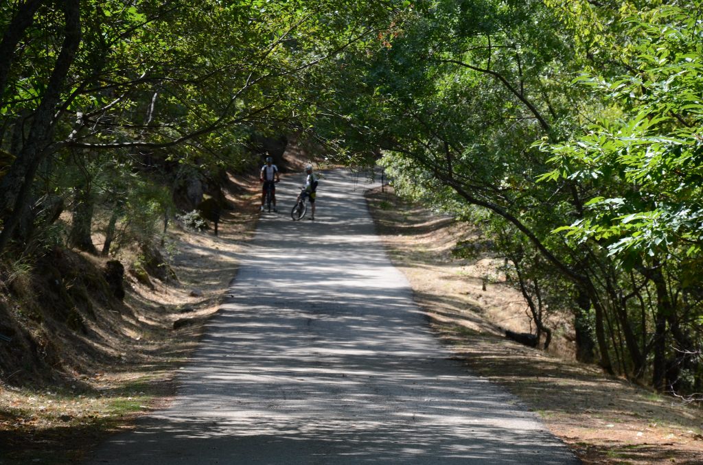 Ruta mountain bike