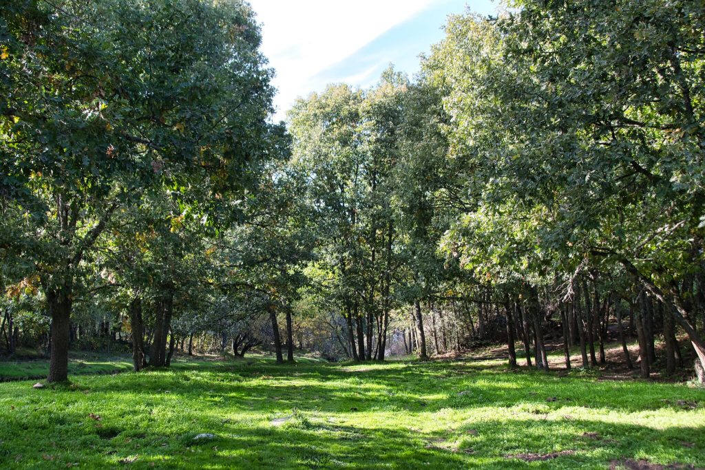 sierra del rincon paisaje