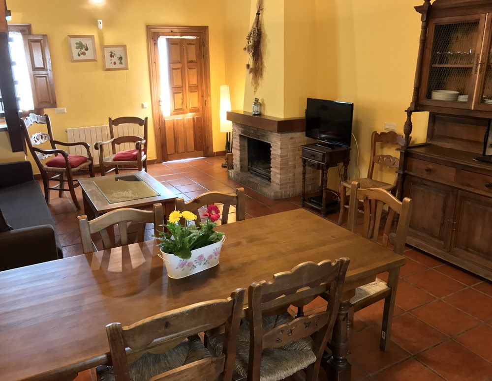 Salón amueblado de casa rural que admite gatos