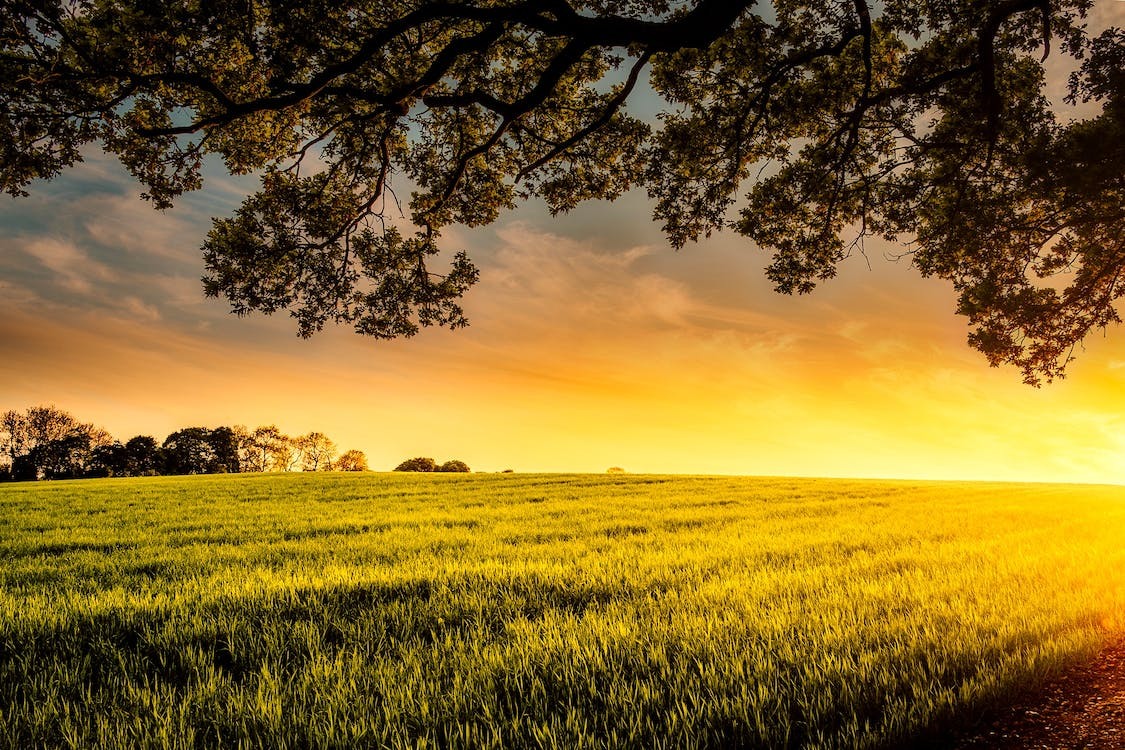 turismo rural sierra de madrid