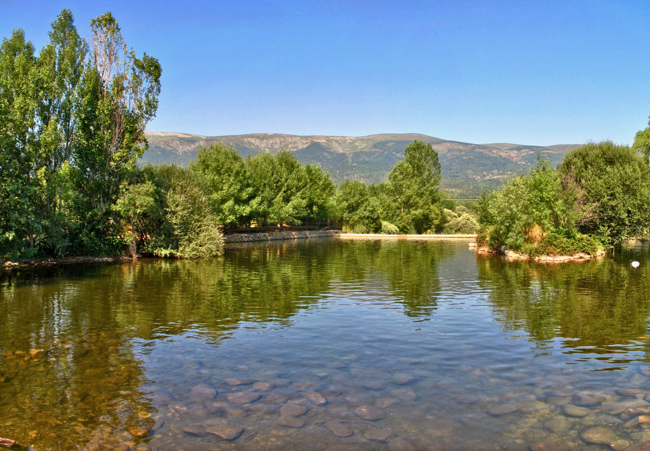 Las mejores piscinas para perros de Madrid