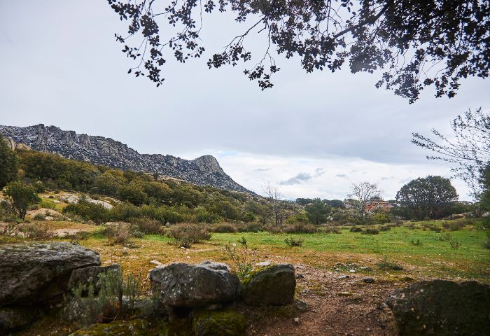 Paisaje de La Cabrera