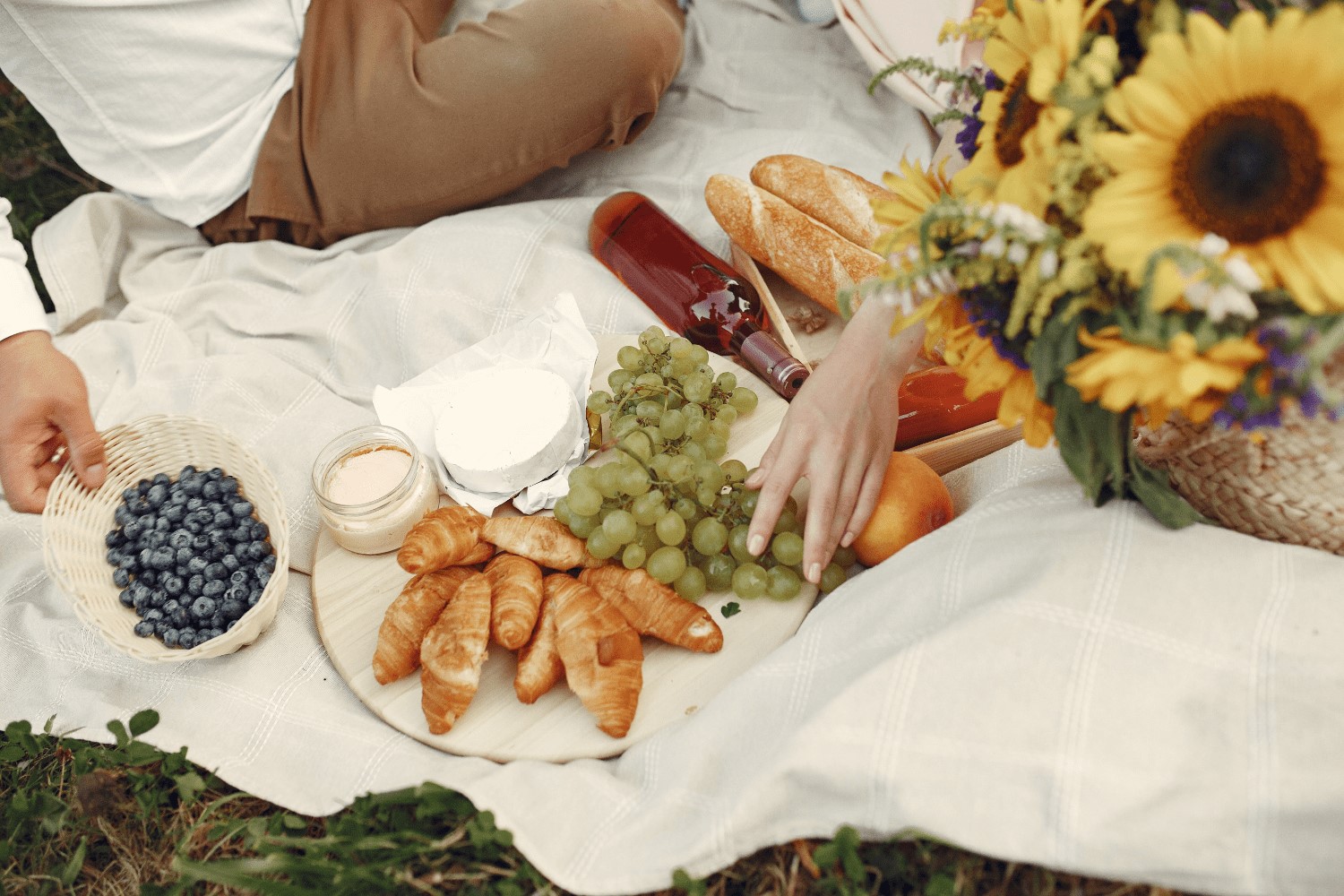 picnic en la sierra madrid