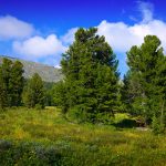 Paisaje montañoso de la Comunidad de Madrid