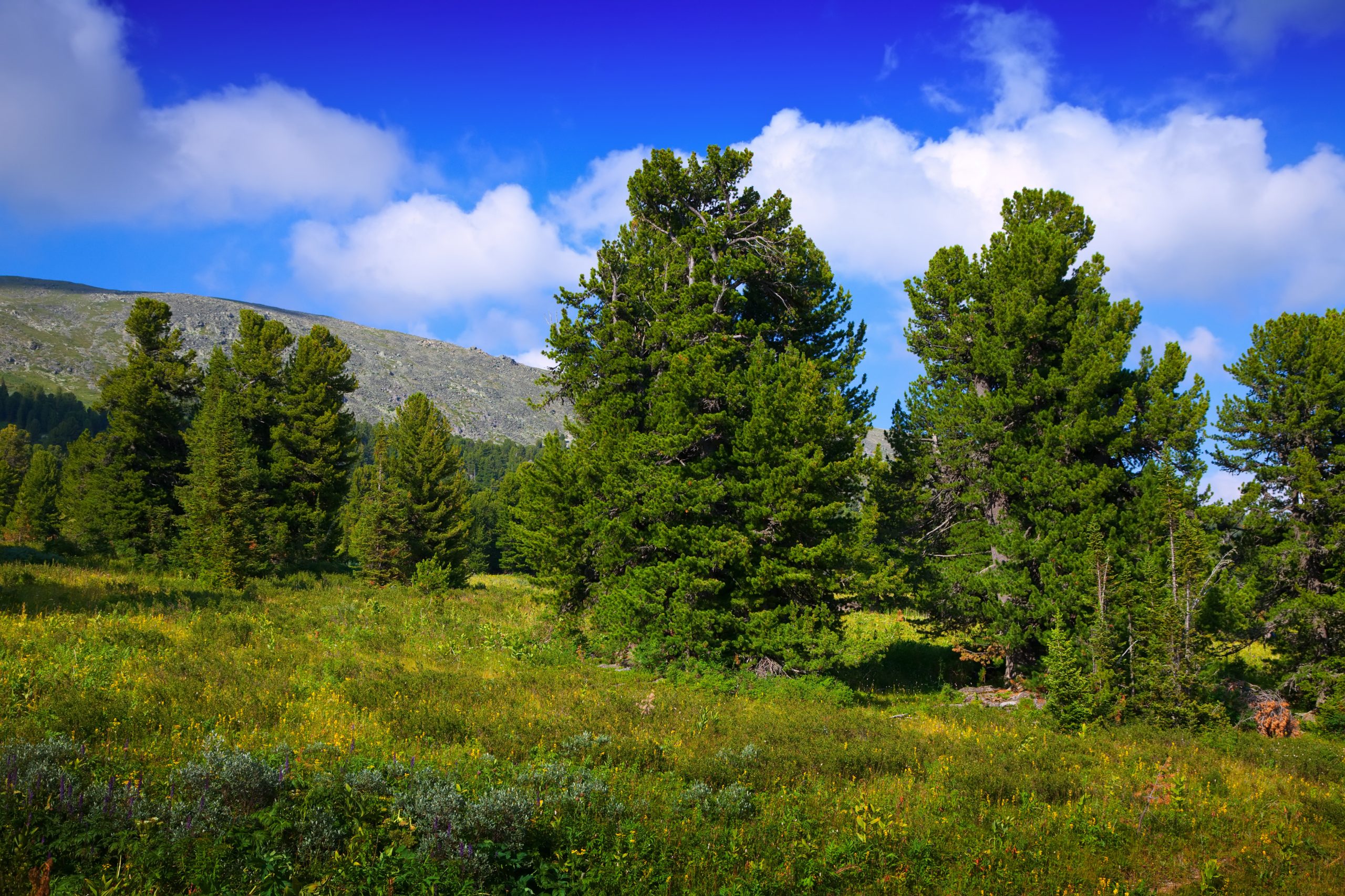 Paisaje montañoso de la Comunidad de Madrid