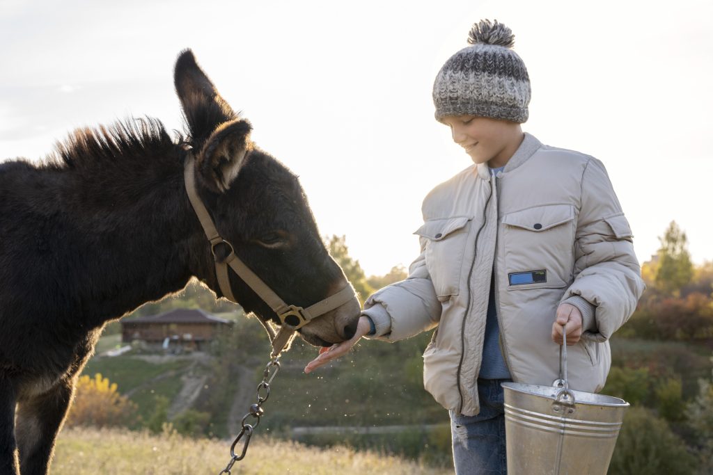 medium shot kid feeding donkey