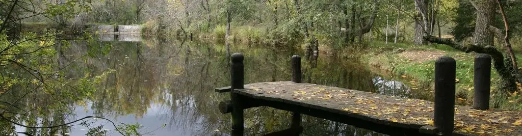 Bosque Finlandes 8