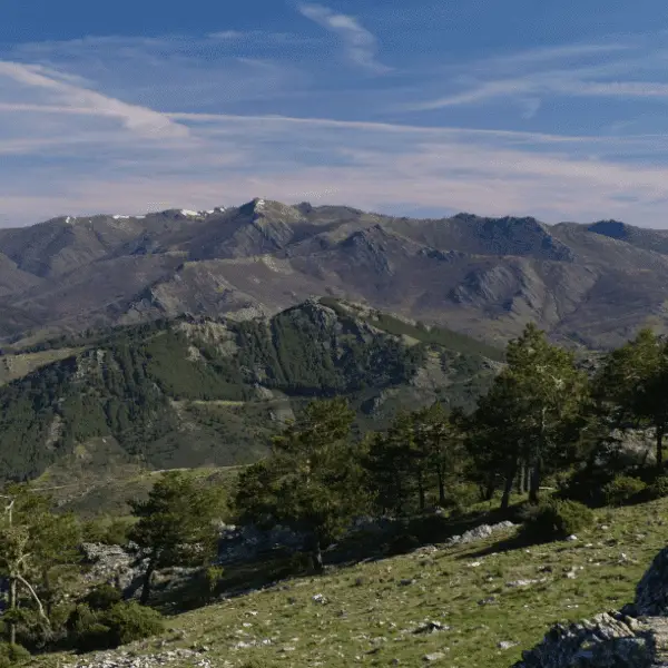 peña cara