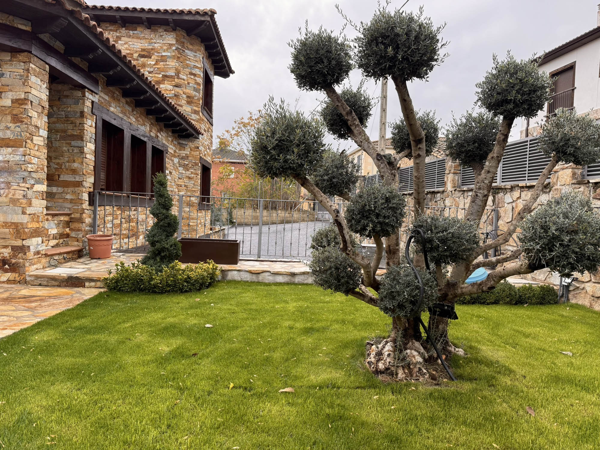 casa rural reduena casa rosita jardin