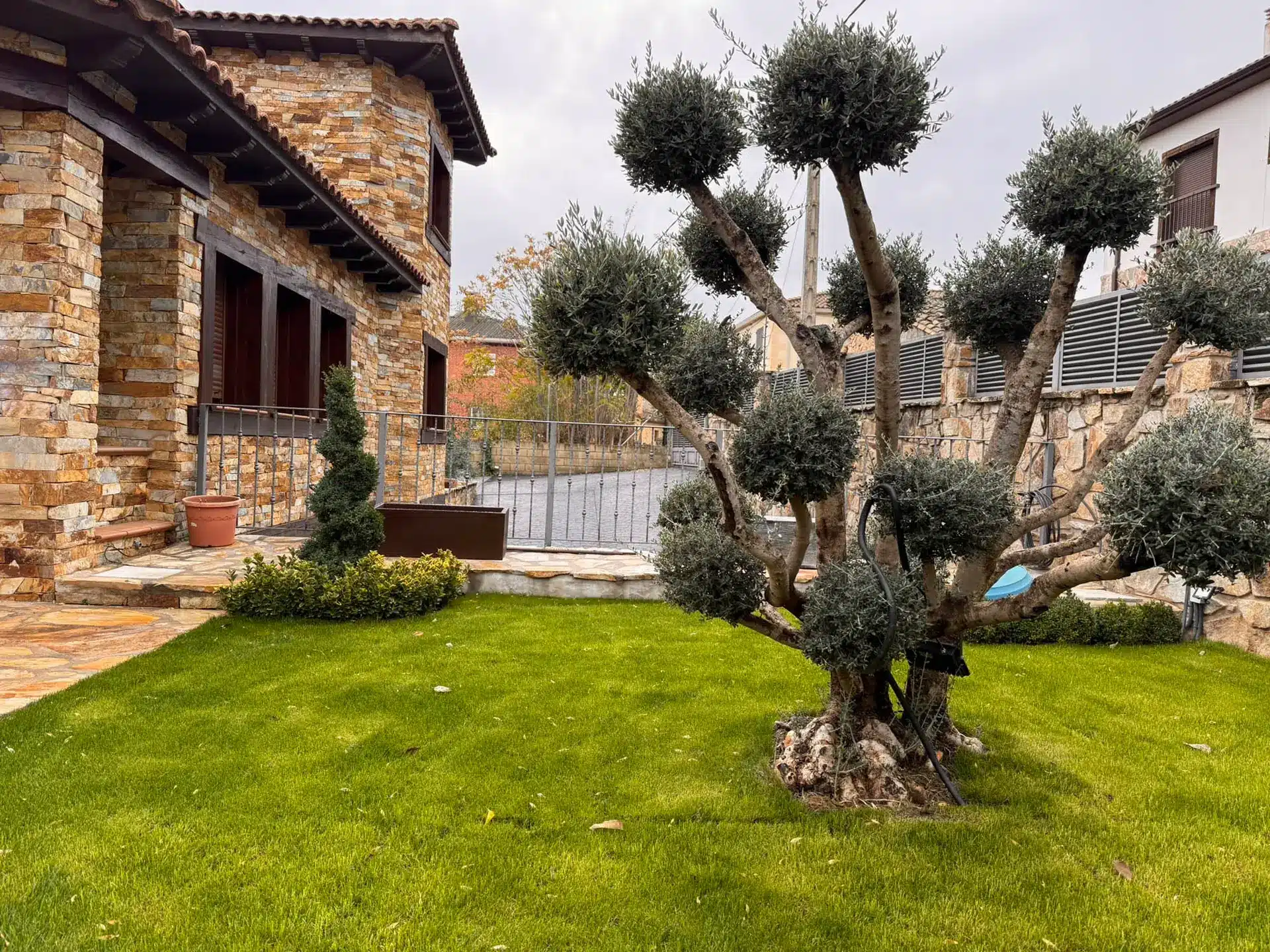 casa rural reduena casa rosita jardin